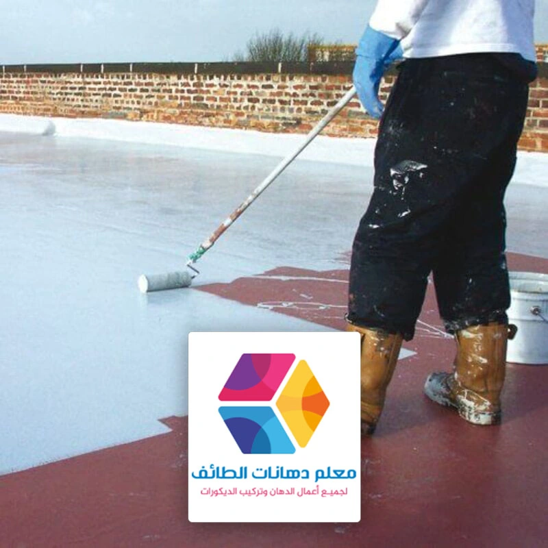 كشف التسربات والعزل الطائف حي مسره