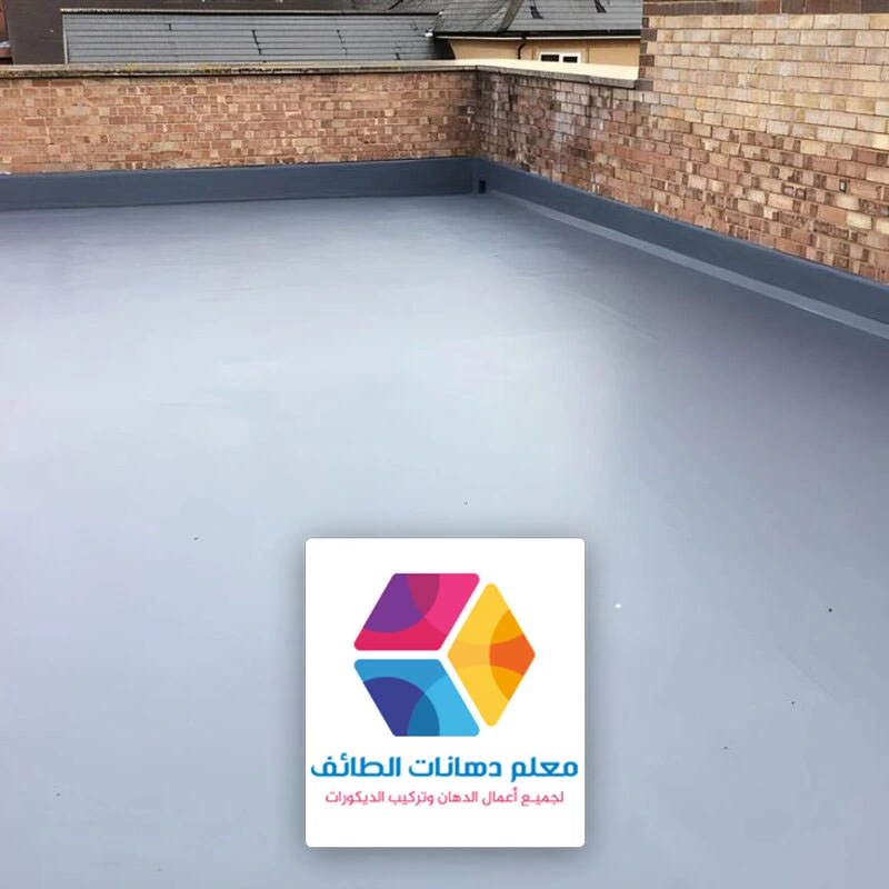 كشف التسربات والعزل الطائف حي مسره